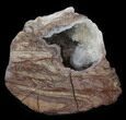 Crystal Filled Dugway Geode (Polished Half) #38857-1
